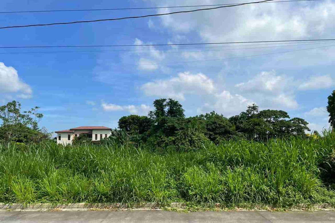 Land for Sale in Ponderosa Leisure Farms, Narra II, Silang, Cavite