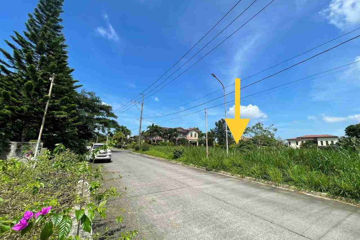 Land for Sale in Ponderosa Leisure Farms, Narra II, Silang, Cavite – photo 2
