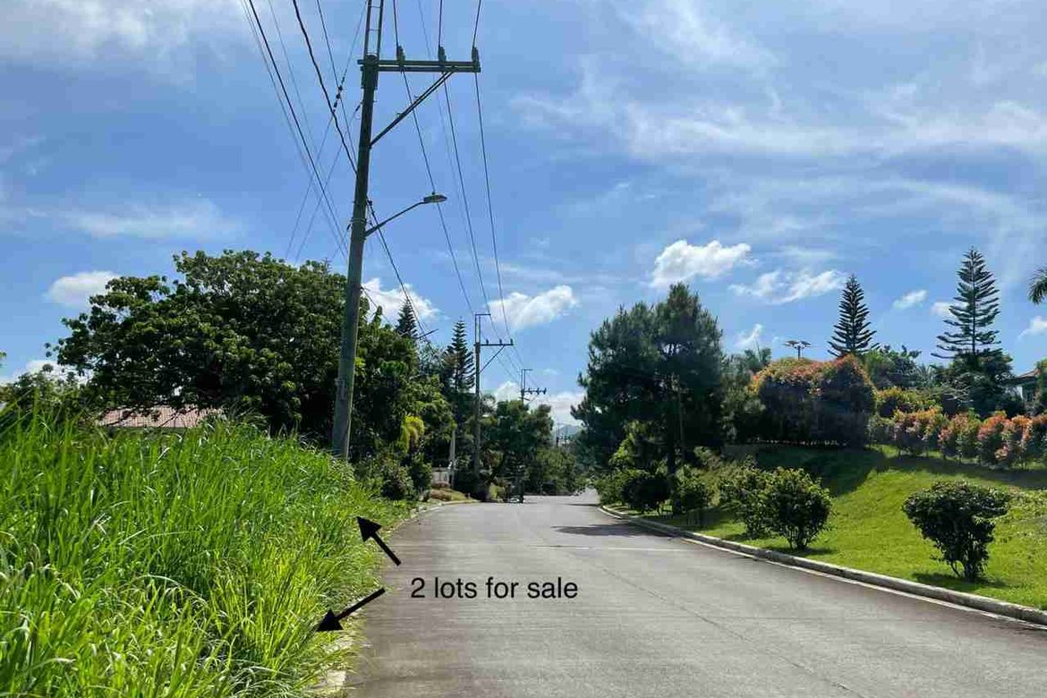 Land for Sale in Ponderosa Leisure Farms, Narra II, Silang, Cavite – photo 3