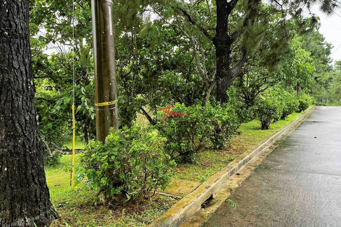 Land for Sale in Ponderosa Leisure Farms, Narra II, Silang, Cavite
