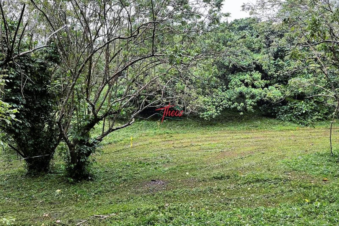 Land for Sale in Ponderosa Leisure Farms, Narra II, Silang, Cavite – photo 3