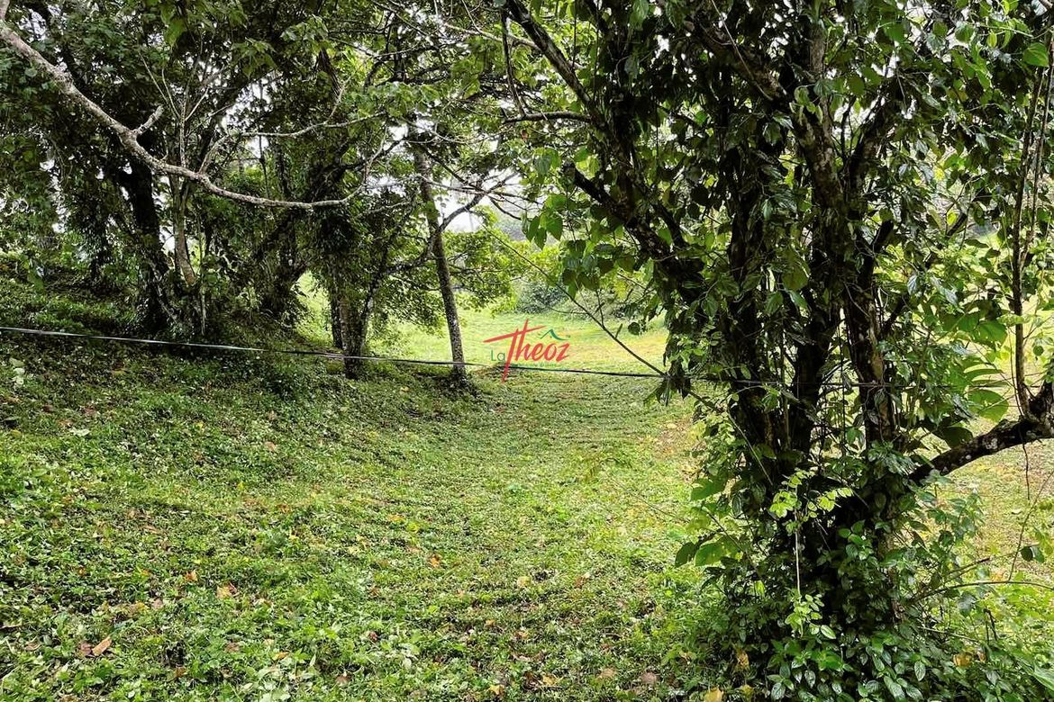 Land for Sale in Ponderosa Leisure Farms, Narra II, Silang, Cavite – photo 4