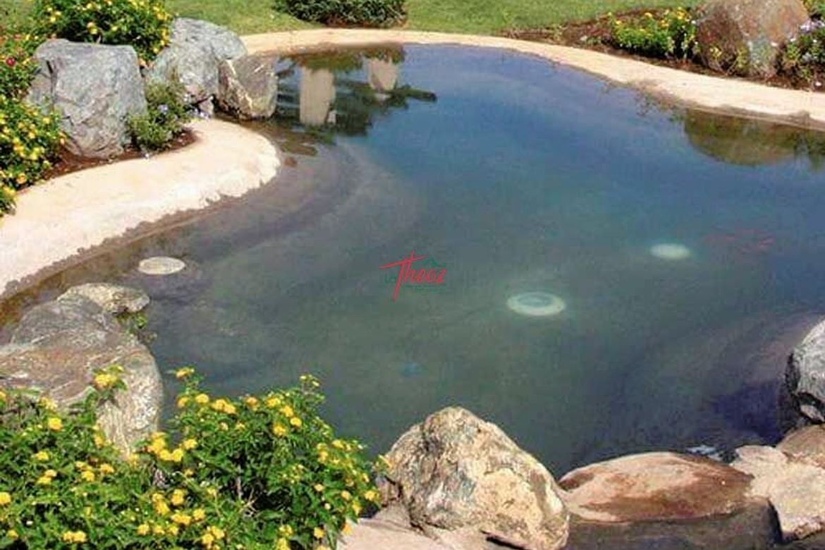 Land for Sale in Ponderosa Leisure Farms, Narra II, Silang, Cavite – photo 5