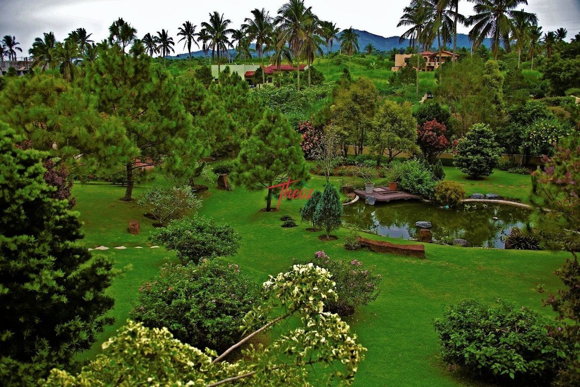 Land for Sale in Ponderosa Leisure Farms, Narra II, Silang, Cavite – photo 7
