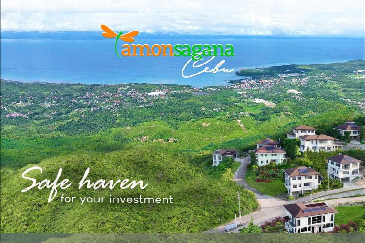 Land for Sale in Pondol, Balamban, Cebu – photo 2
