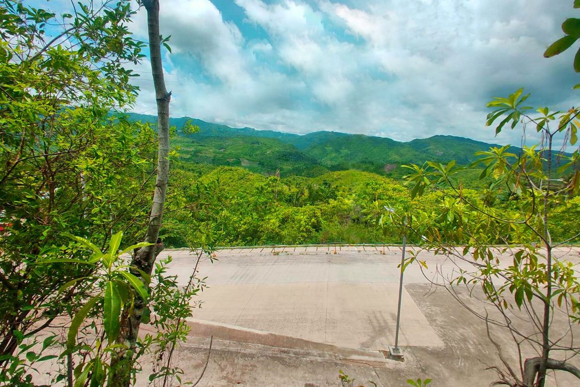 Land for Sale in Pondol, Balamban, Cebu – photo 6