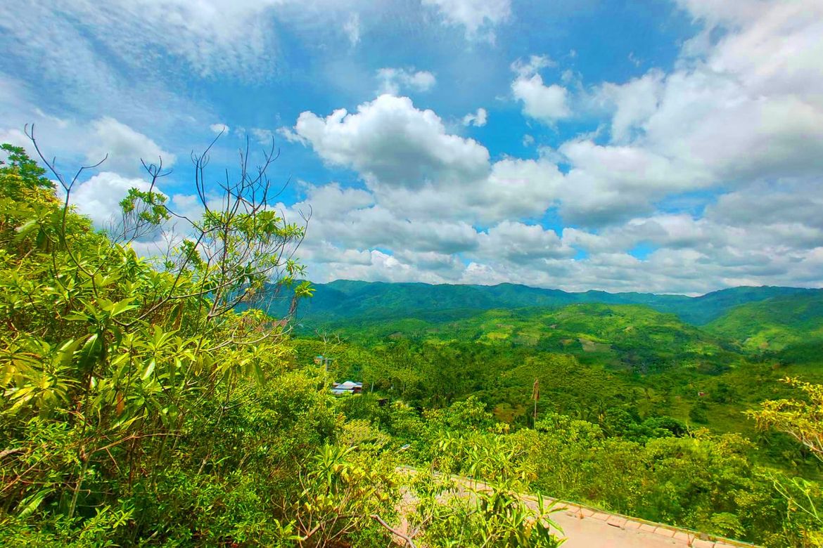Land for Sale in Pondol, Balamban, Cebu