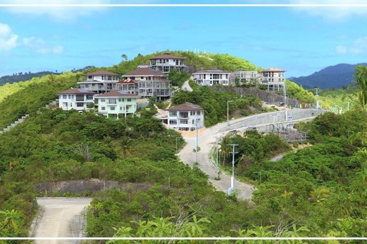 Land for Sale in Pondol, Balamban, Cebu – photo 5