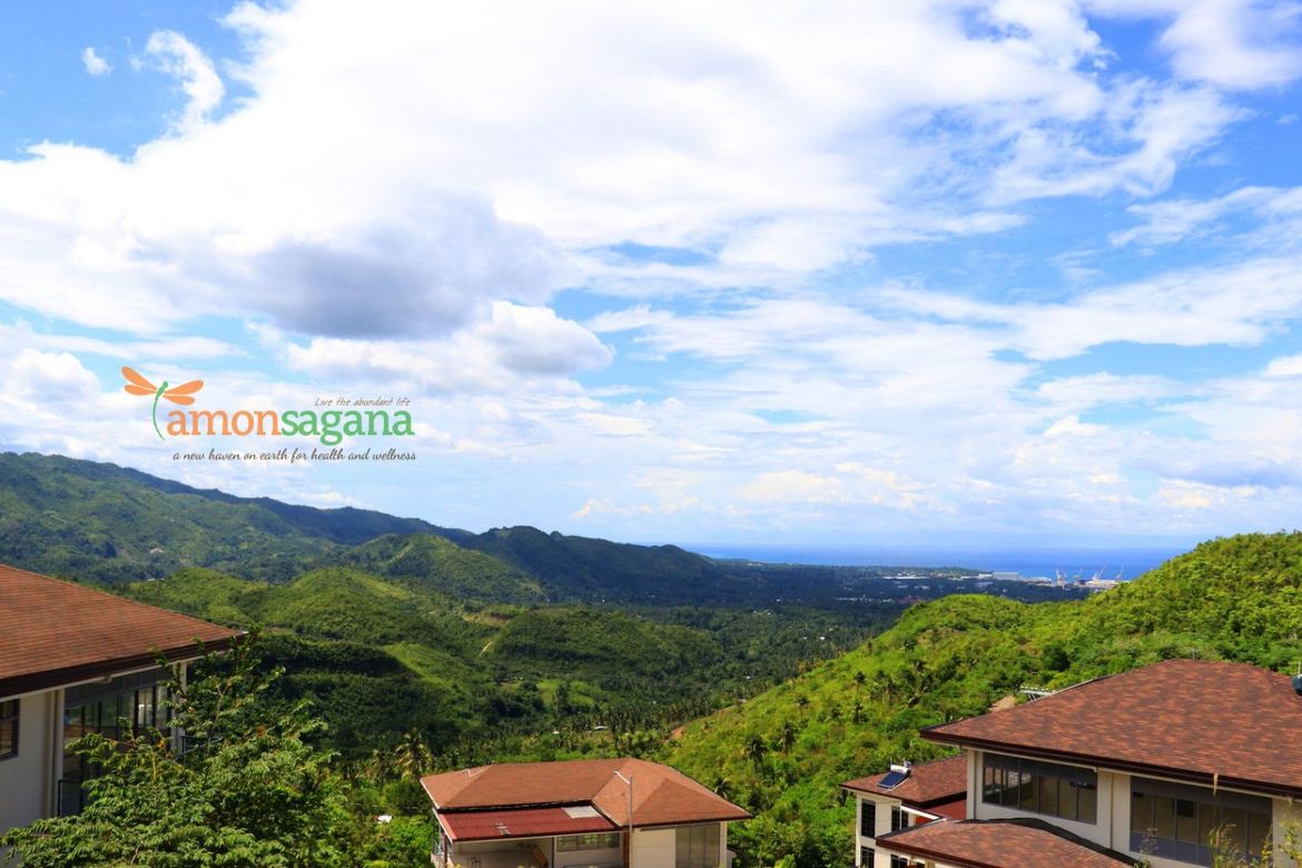 Land for Sale in Pondol, Balamban, Cebu – photo 7