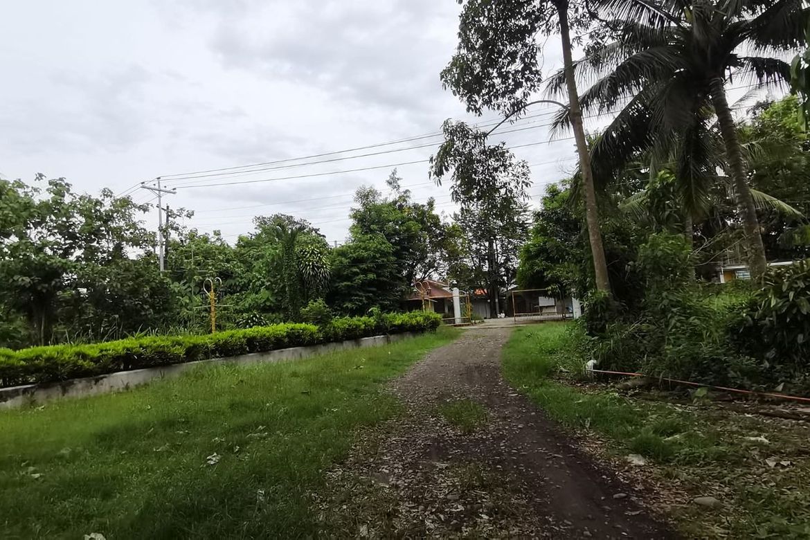 Land for Sale in Pondol, Balamban, Cebu