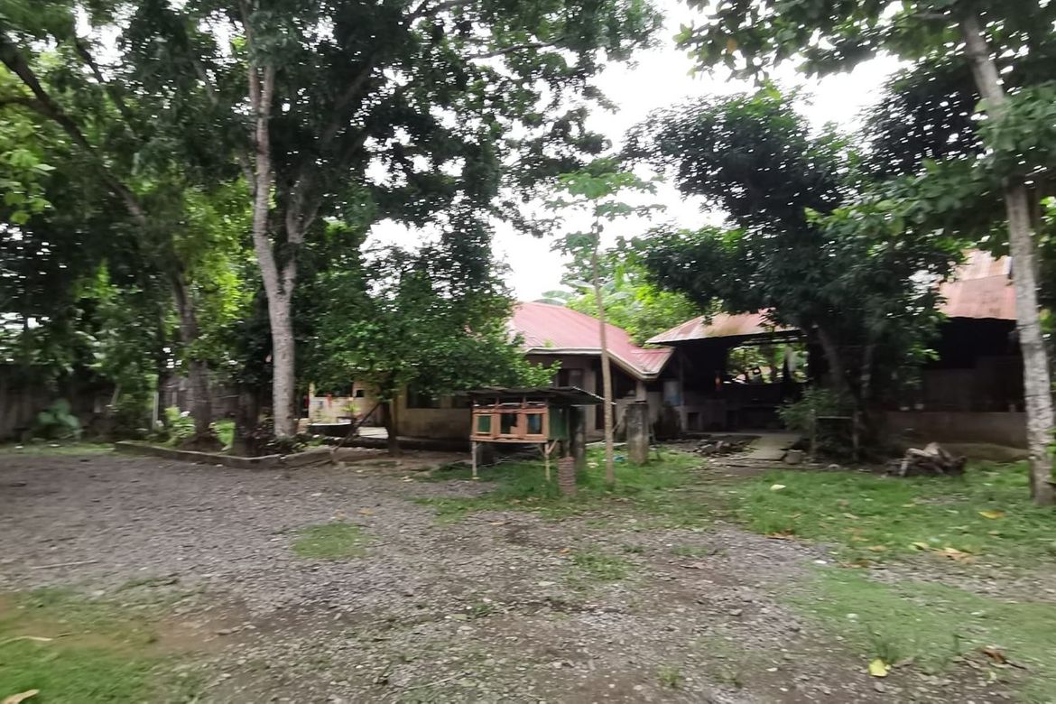 Land for Sale in Pondol, Balamban, Cebu – photo 2