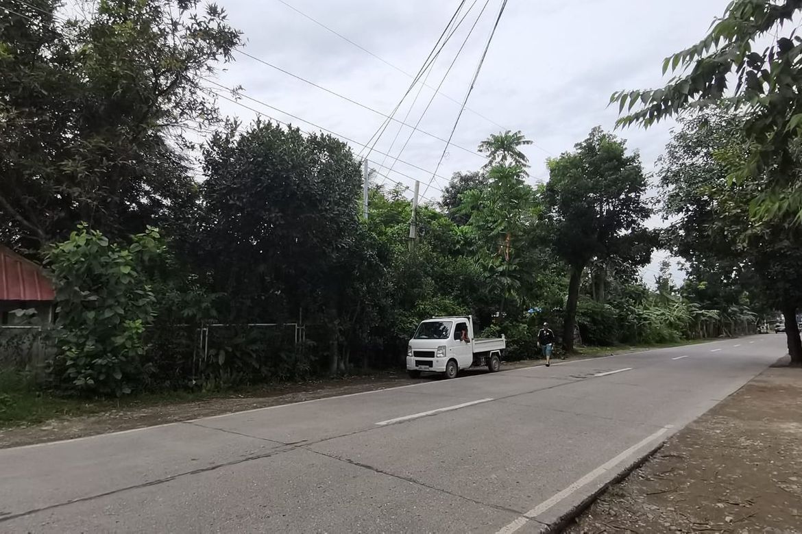 Land for Sale in Pondol, Balamban, Cebu – photo 3