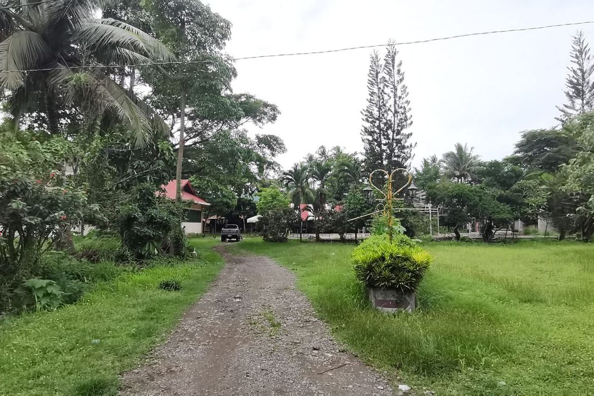 Land for Sale in Pondol, Balamban, Cebu – photo 6
