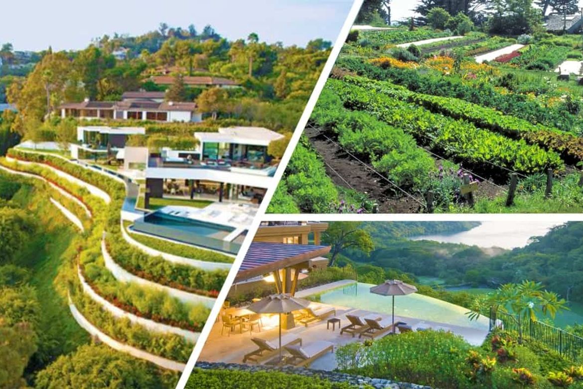 Land for Sale in Pondol, Balamban, Cebu