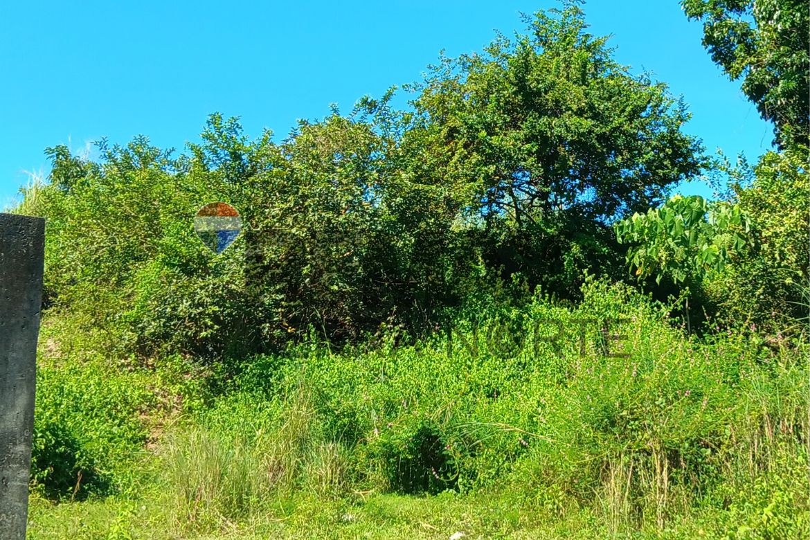 Land for Sale in Ponglo-Muelag, Mangatarem, Pangasinan – photo 3