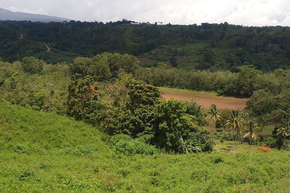 Land for Sale in Pongol, Libona, Bukidnon – photo 2