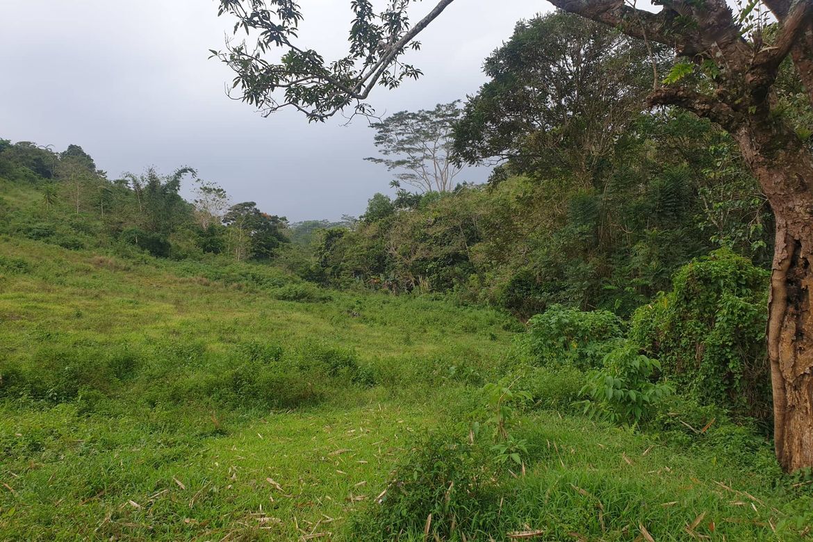 Land for Sale in Pongol, Libona, Bukidnon – photo 6