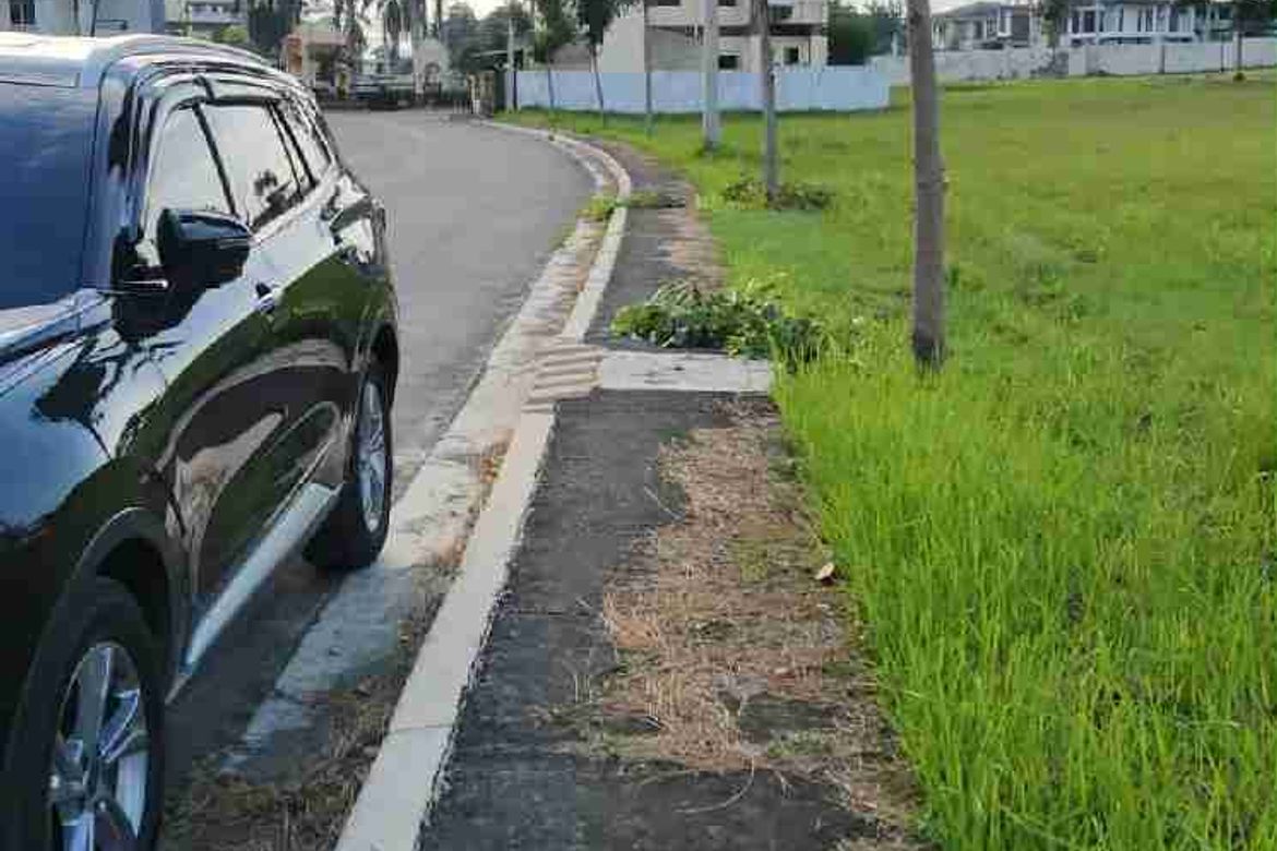 Land for Sale in Ponte Verde - Davao, Sasa, Davao City, Davao del Sur – photo 3