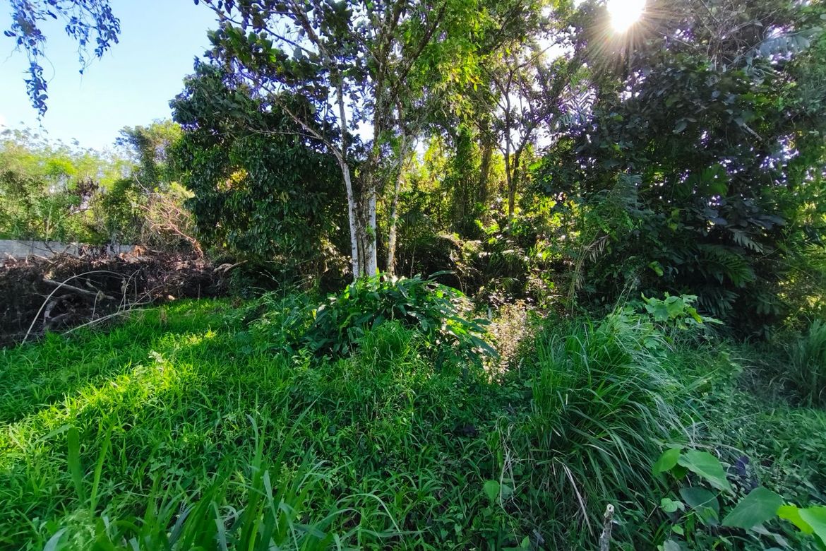 Land for Sale in Pooc II, Silang, Cavite