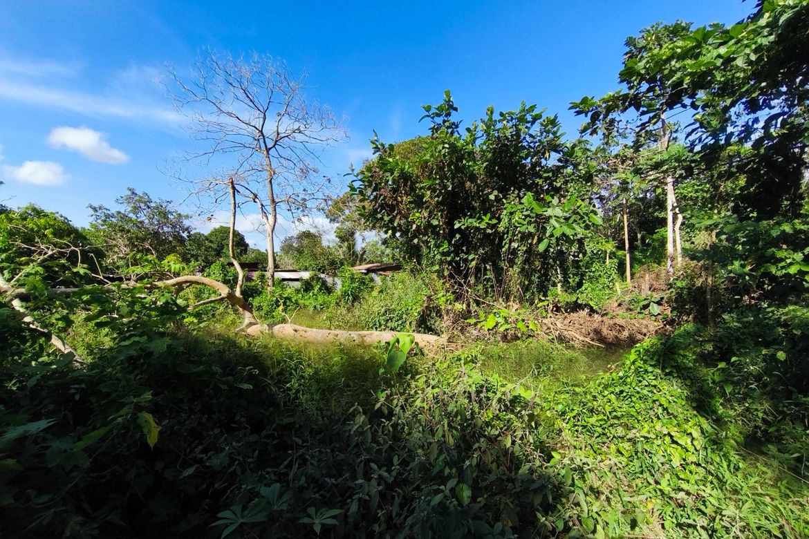 Land for Sale in Pooc II, Silang, Cavite – photo 3