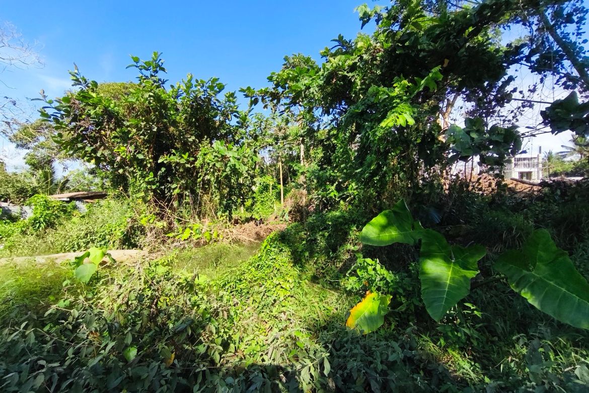 Land for Sale in Pooc II, Silang, Cavite – photo 4