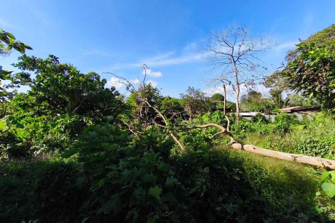 Land for Sale in Pooc II, Silang, Cavite – photo 5
