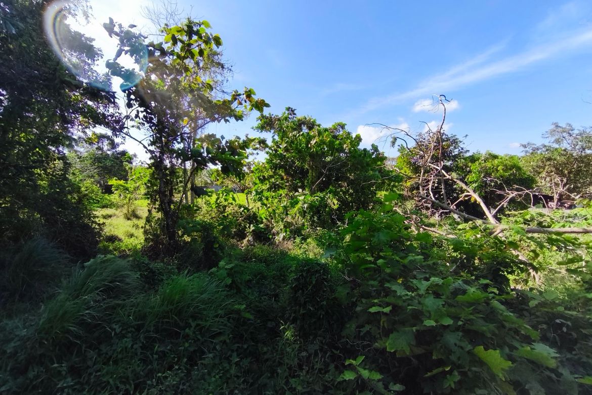 Land for Sale in Pooc II, Silang, Cavite – photo 6