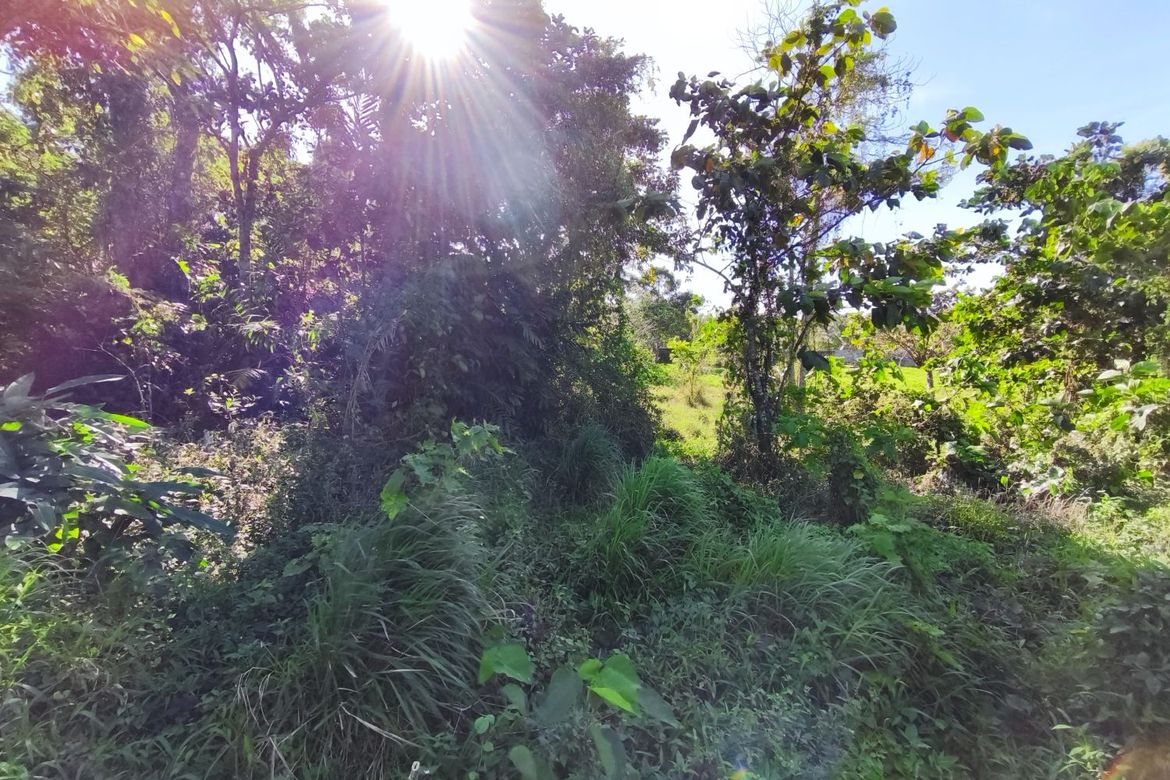 Land for Sale in Pooc II, Silang, Cavite – photo 7
