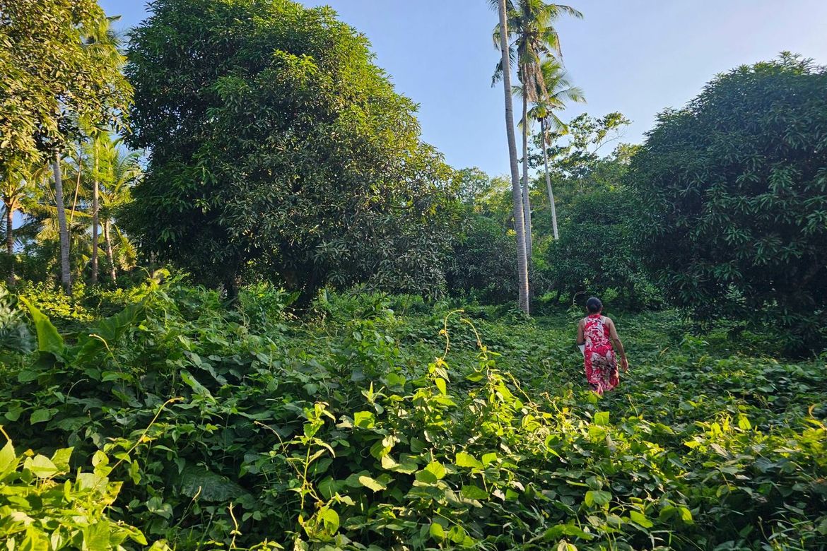 Land for Sale in Pooc Occidental, Tubigon, Bohol – photo 3