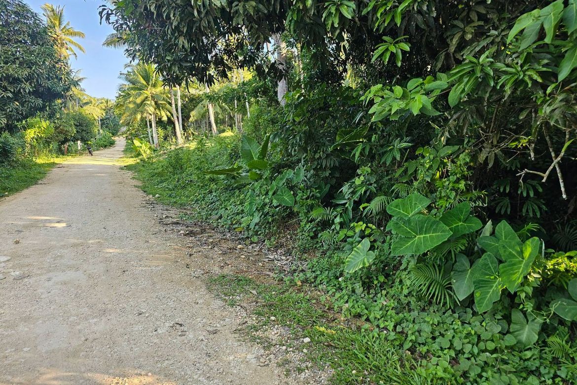 Land for Sale in Pooc Occidental, Tubigon, Bohol – photo 4