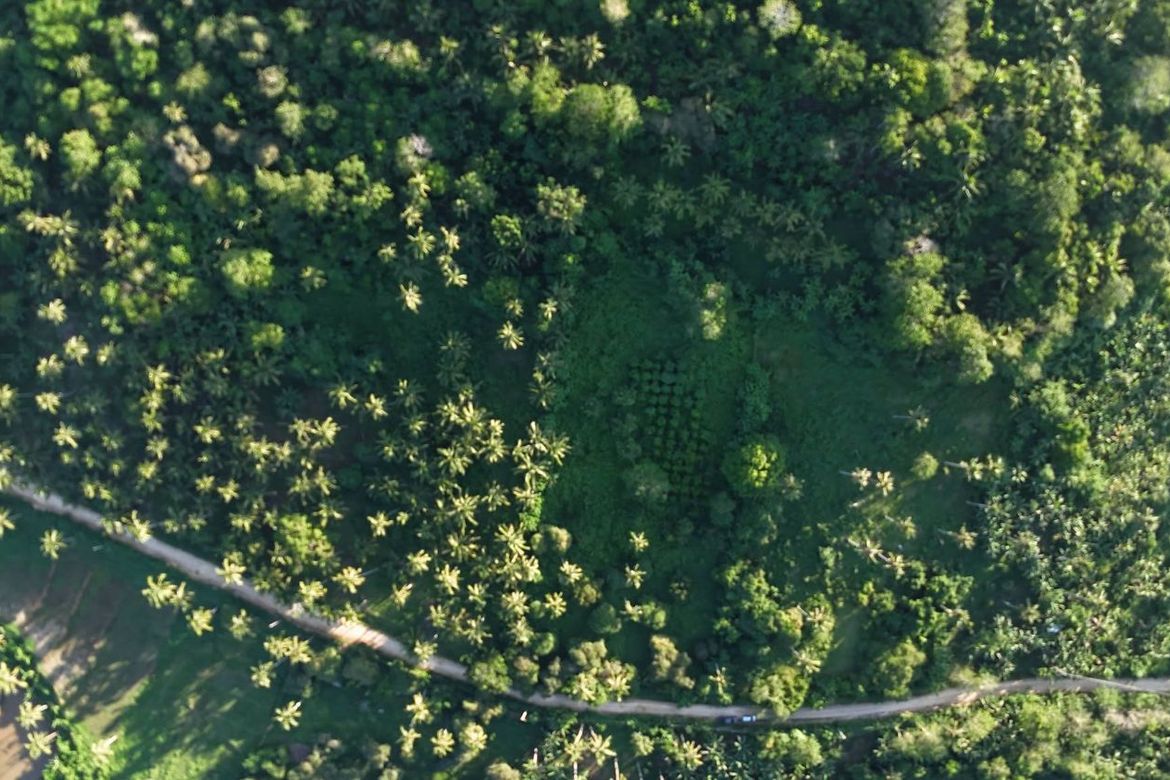Land for Sale in Pooc Occidental, Tubigon, Bohol – photo 6