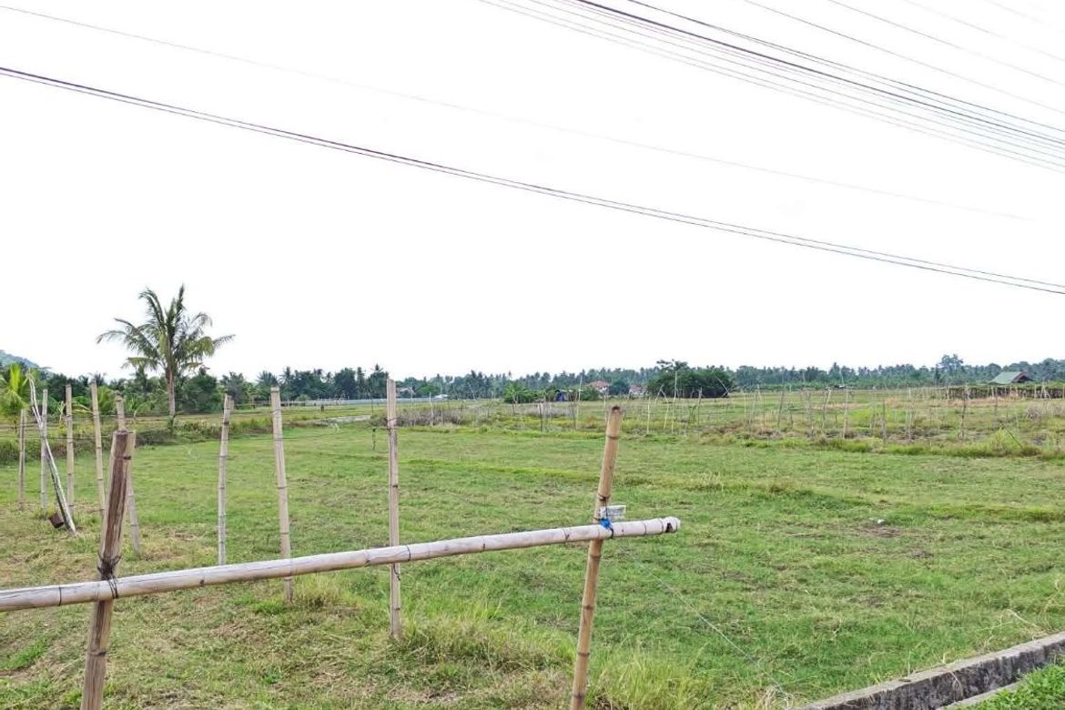 Land for Sale in Pooc Occidental, Tubigon, Bohol – photo 3