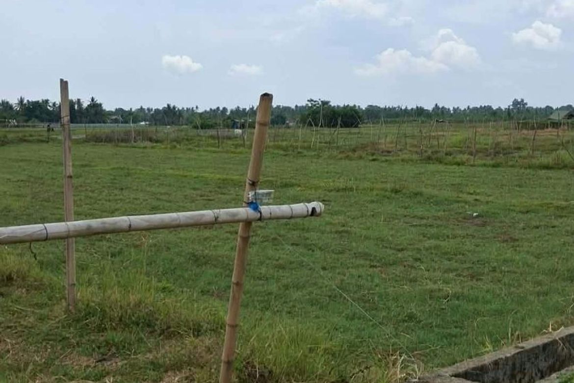 Land for Sale in Pooc Occidental, Tubigon, Bohol – photo 4
