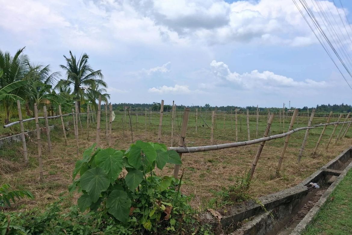 Land for Sale in Pooc Occidental, Tubigon, Bohol – photo 5