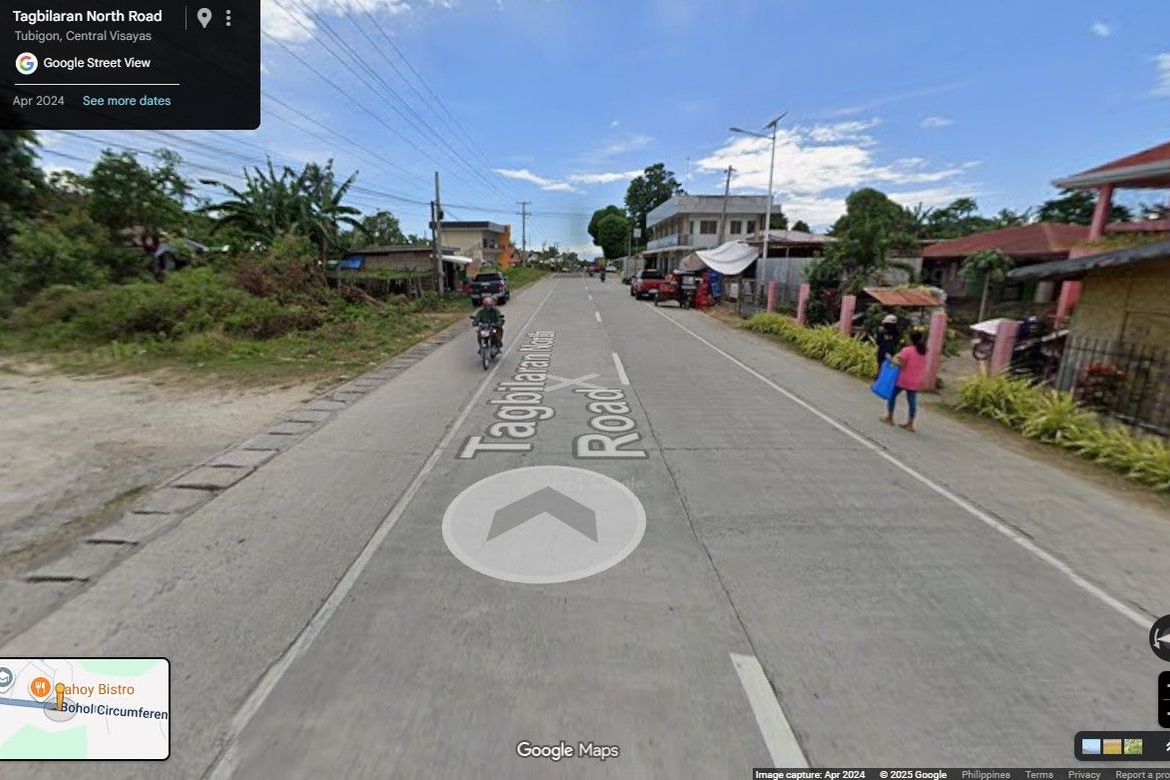 Land for Sale in Pooc Occidental, Tubigon, Bohol – photo 2