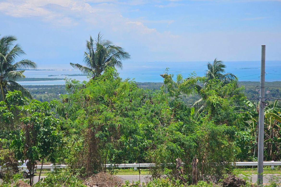Land for Sale in Pooc Occidental, Tubigon, Bohol – photo 3