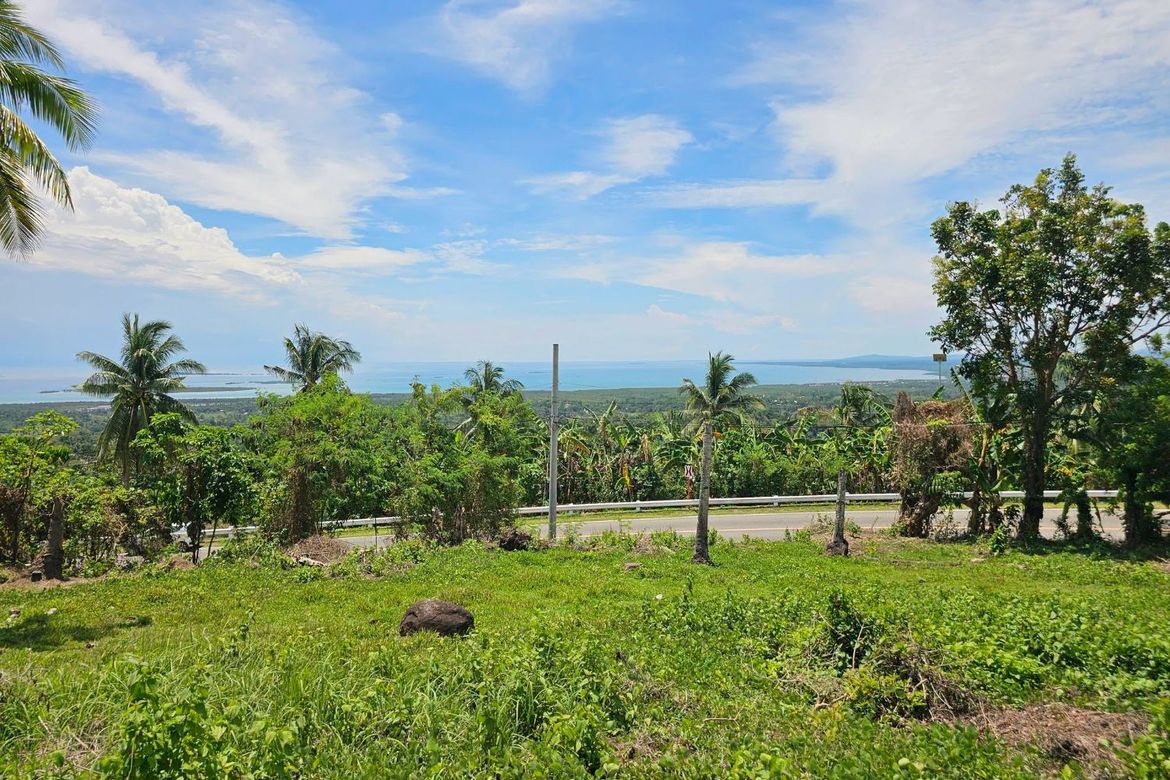 Land for Sale in Pooc Occidental, Tubigon, Bohol – photo 5