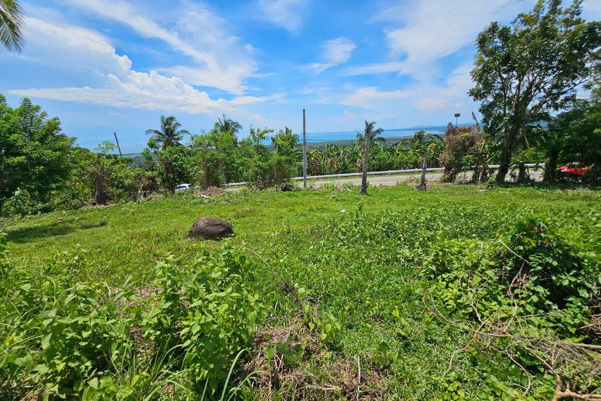 Land for Sale in Pooc Occidental, Tubigon, Bohol – photo 7