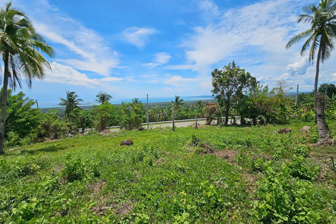Land for Sale in Pooc Occidental, Tubigon, Bohol – photo 8