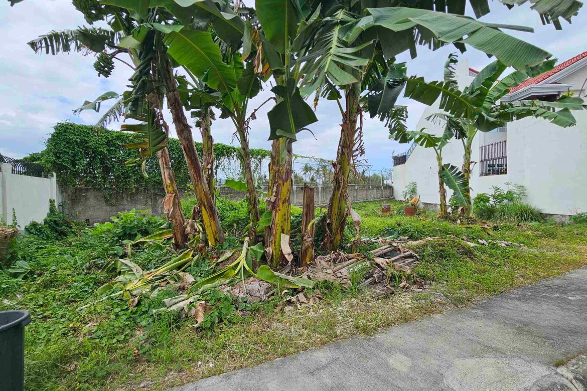 Land for Sale in Pooc, Talisay, Cebu – photo 3