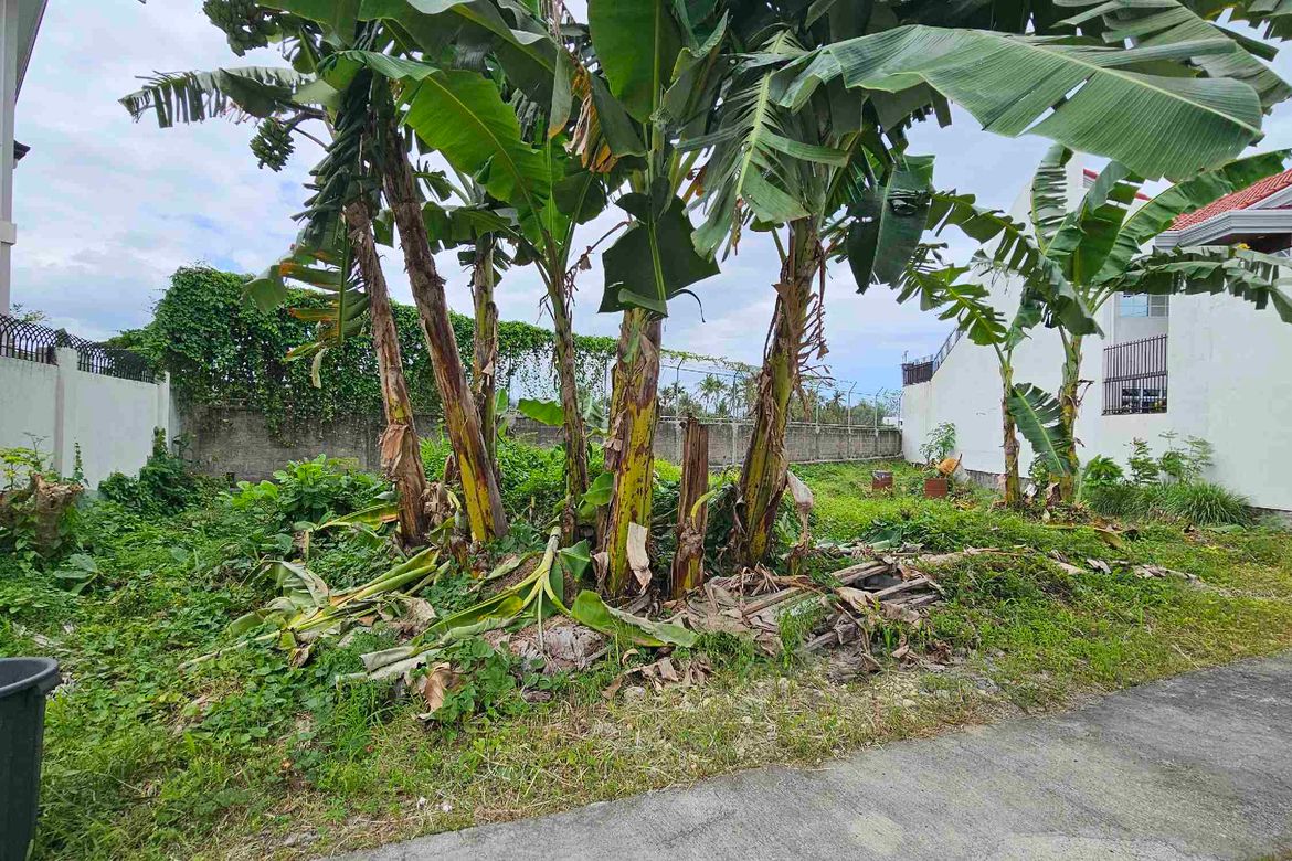 Land for Sale in Pooc, Talisay, Cebu – photo 4