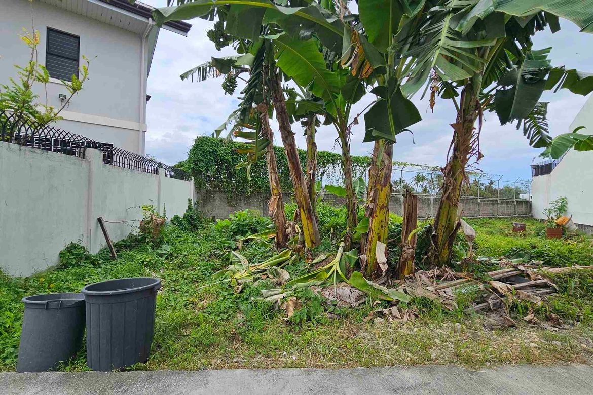 Land for Sale in Pooc, Talisay, Cebu – photo 5