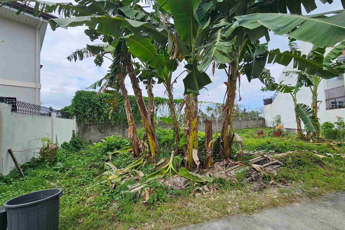 Land for Sale in Pooc, Talisay, Cebu – photo 6