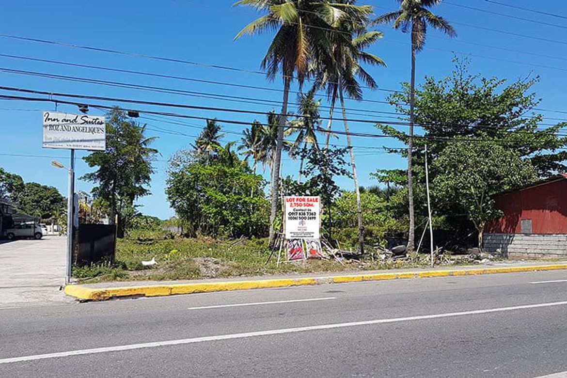 Land for Sale in Pook, Kalibo, Aklan – photo 2