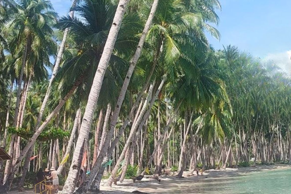Land for Sale in Port Barton, San Vicente, Palawan – photo 2