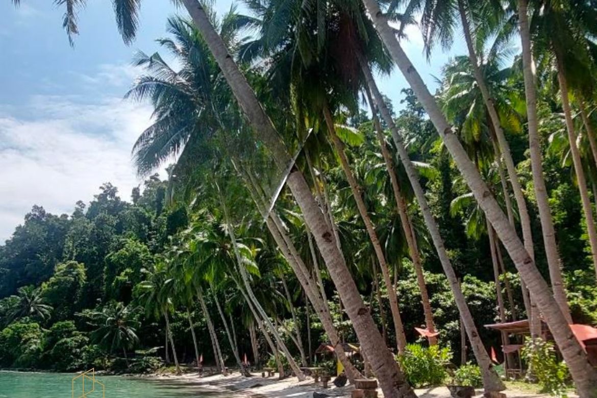 Land for Sale in Port Barton, San Vicente, Palawan – photo 4