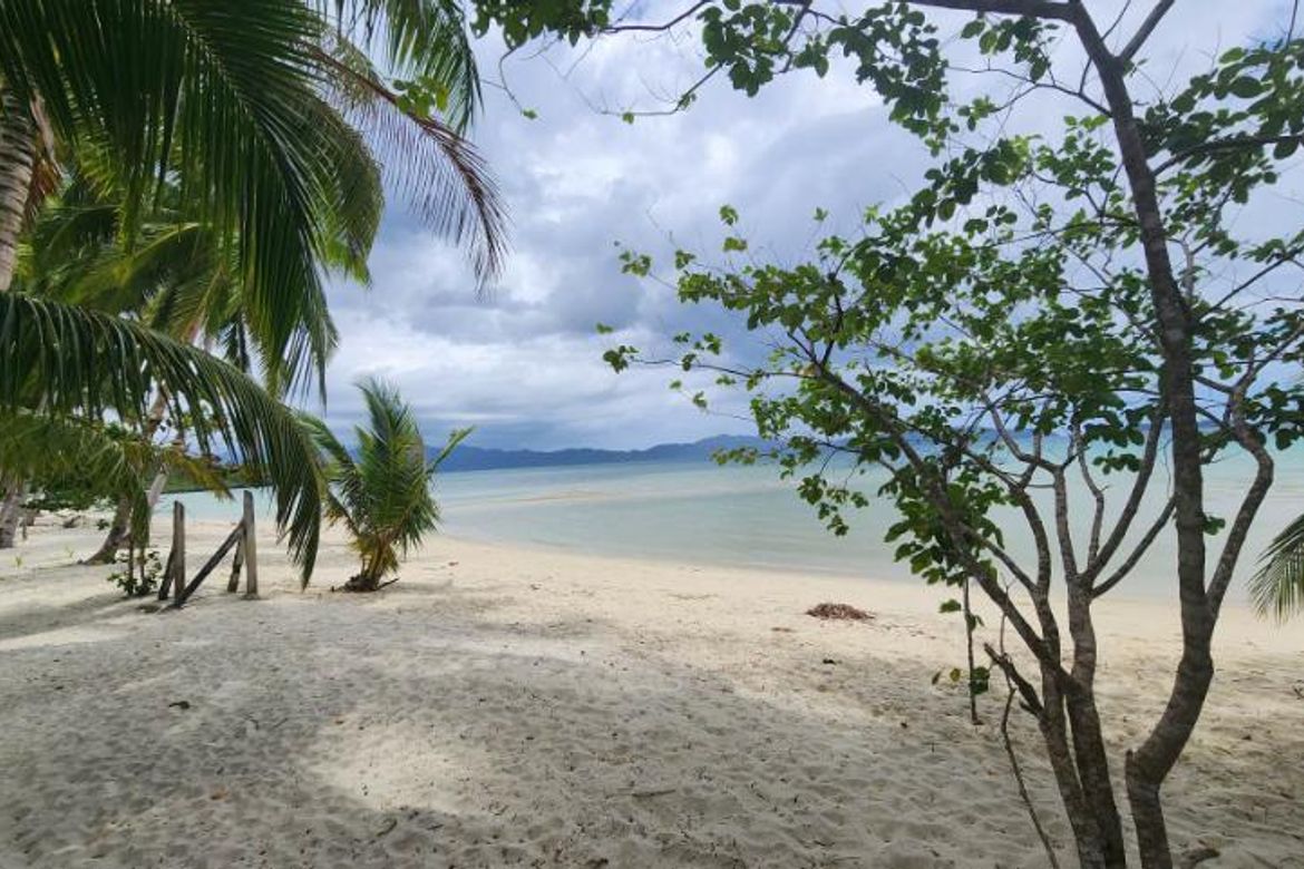 Land for Sale in Port Barton, San Vicente, Palawan – photo 2