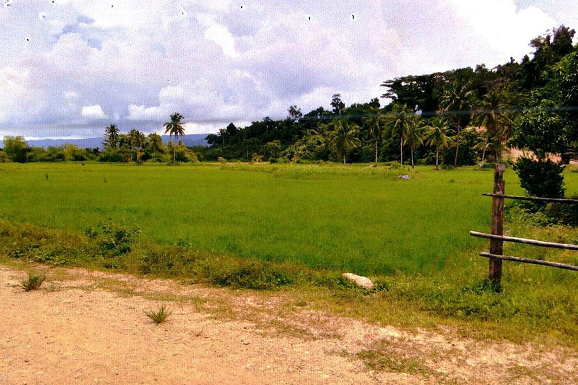Land for Sale in Port Barton, San Vicente, Palawan – photo 4