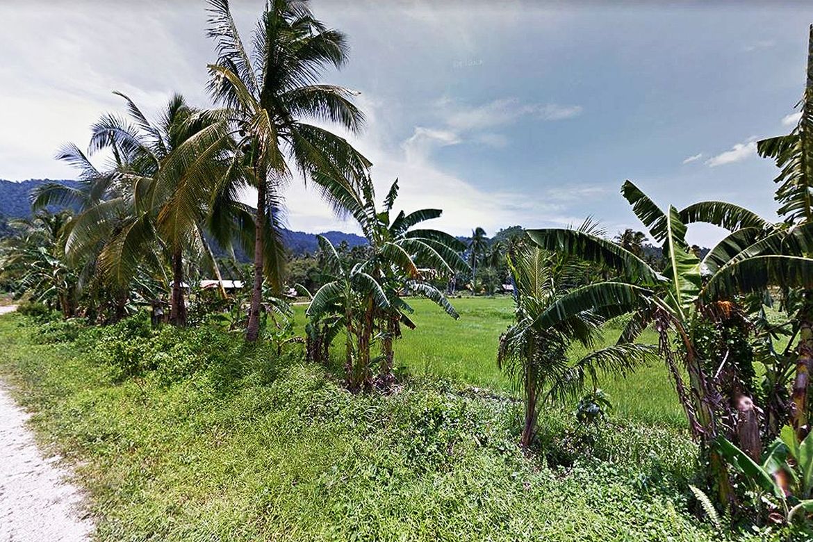 Land for Sale in Port Barton, San Vicente, Palawan – photo 7