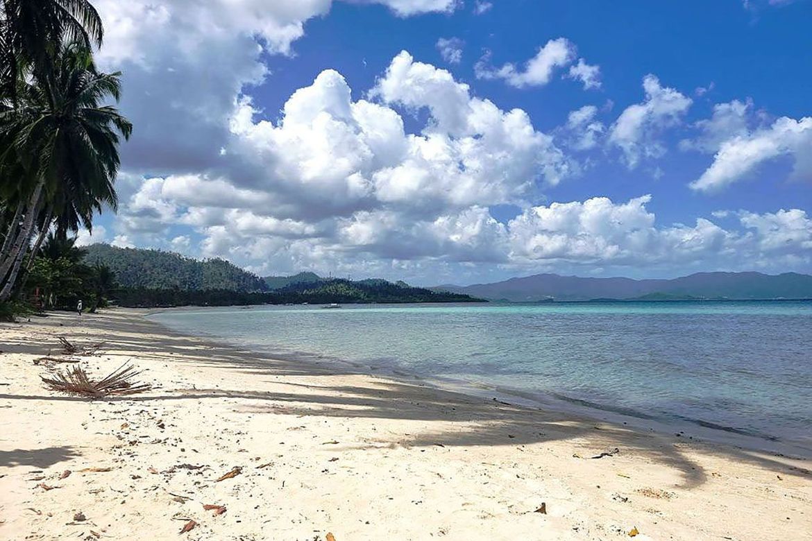 Land for Sale in Port Barton, San Vicente, Palawan – photo 8